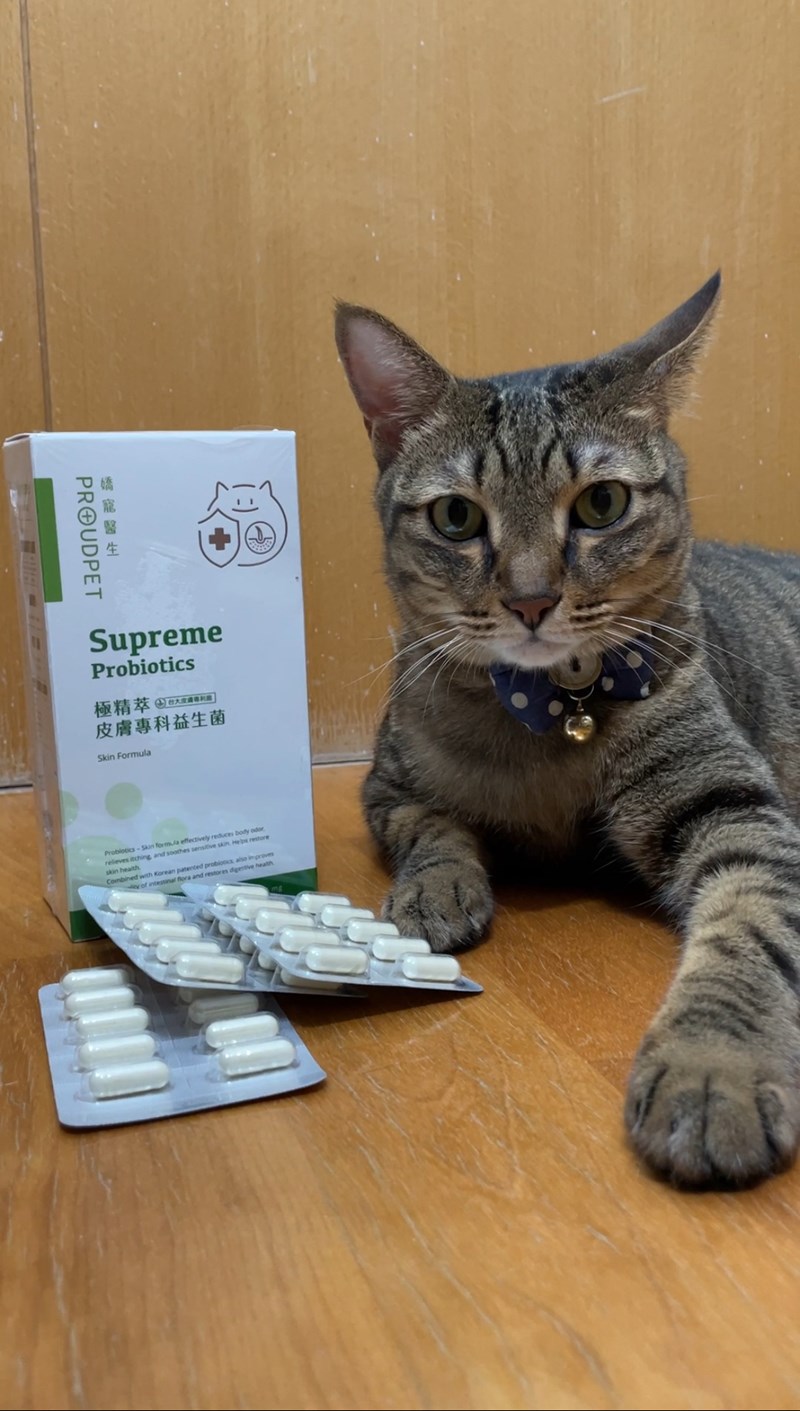 試用